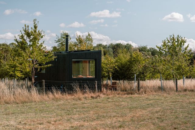 An off-grid cabin tucked into the trees beyond a summer meadow